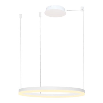 Azzardo AZ4959 - LED Dimmable chandelier on a string HALO LED/56W/230V d. 80 cm white