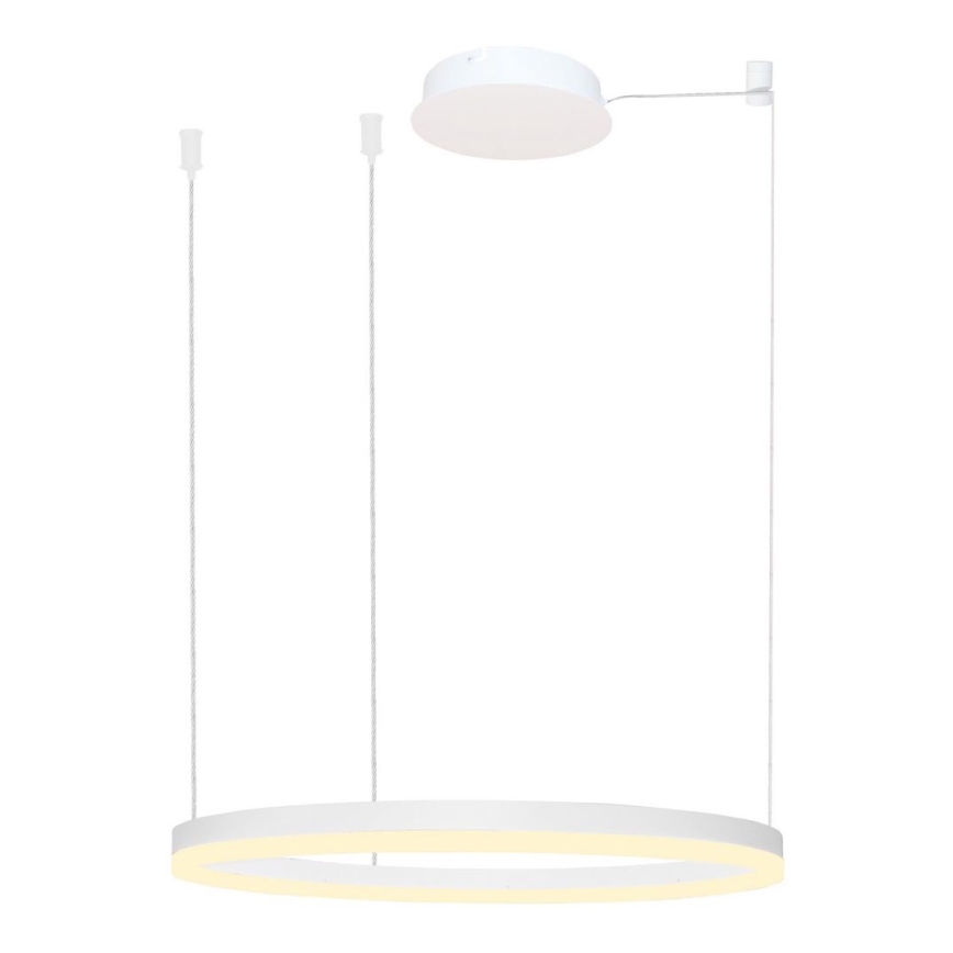 Azzardo AZ4959 - LED Dimmable chandelier on a string HALO LED/56W/230V d. 80 cm white
