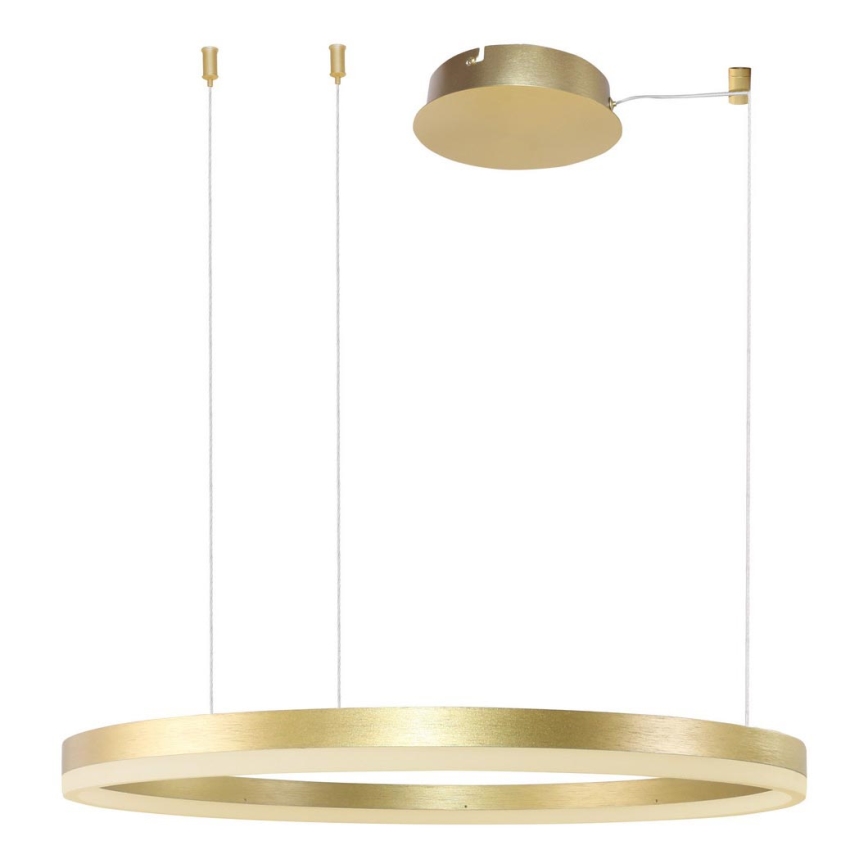 Azzardo AZ4961 -LED Dimmable chandelier on a string HALO LED/56W/230V d. 80 cm gold