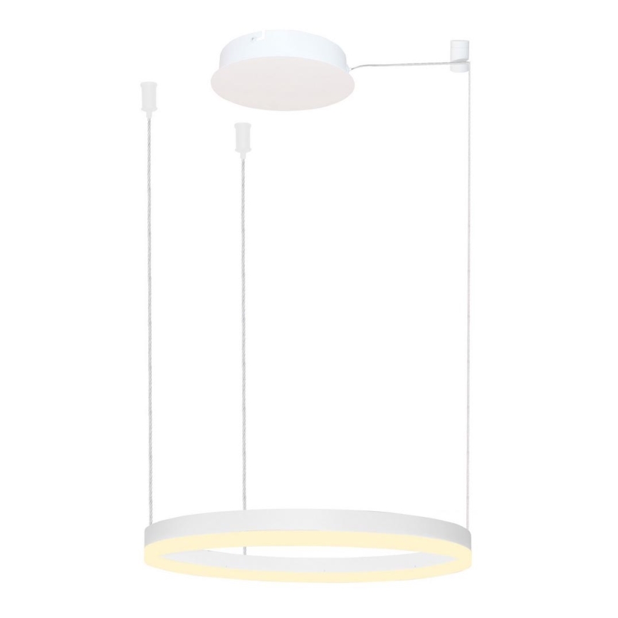 Azzardo AZ4967 - LED Dimmable chandelier on a string HALO LED/47W/230V d. 60 cm white