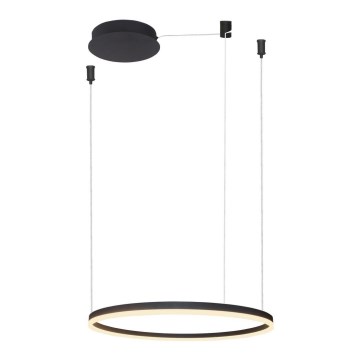 Azzardo AZ4968 -LED Dimmable chandelier on a string HALO LED/47W/230V d. 60 cm black