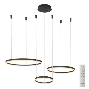 Azzardo AZ4972 - LED Dimmable chandelier on a string HALO LED/120W/230V black + remote control