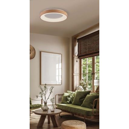 Azzardo AZ4988 - LED Ceiling light SANTANA LED/30W/230V gold