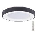 Azzardo AZ4995 - LED Dimmable ceiling light SANTANA LED/80W/230V black + remote control