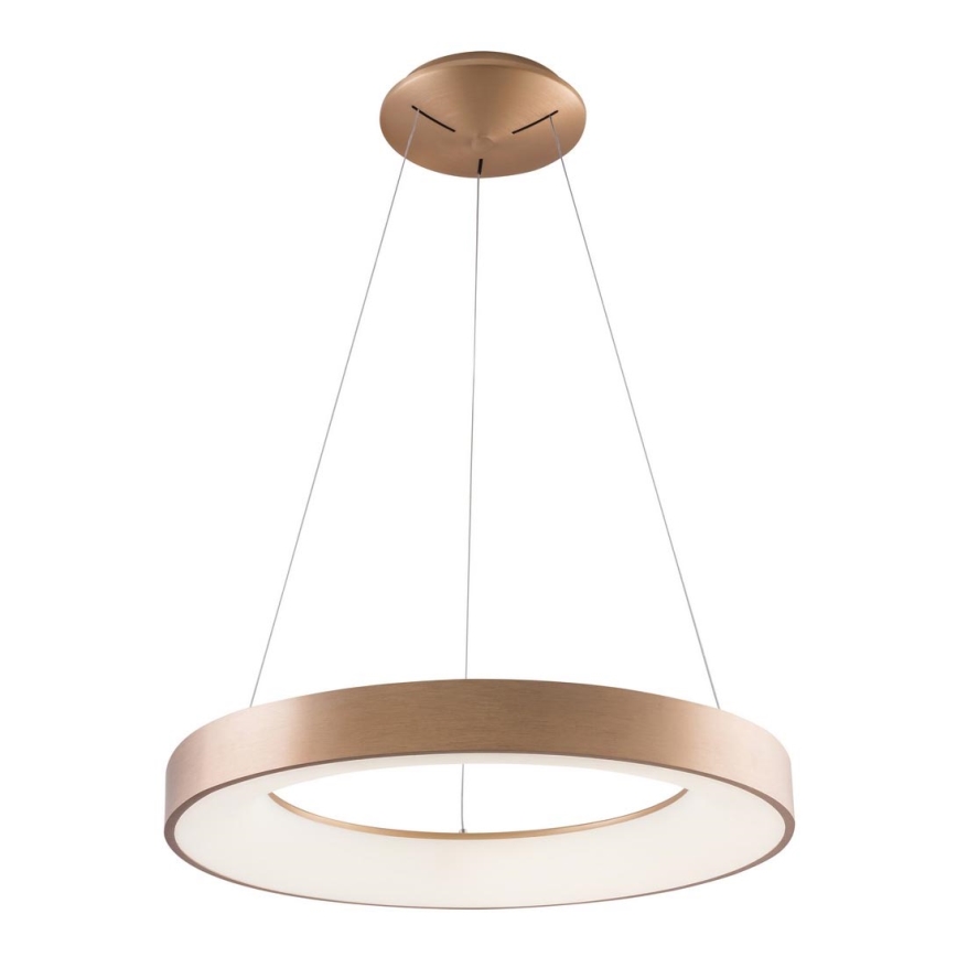 Azzardo AZ5000 - LED Chandelier on a string SANTANA LED/30W/230V gold