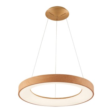 Azzardo AZ5006 - LED Chandelier on a string SANTANA LED/30W/230V brown