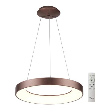 Azzardo AZ5007 - LED Dimmable chandelier on a string SANTANA LED/50W/230V brown + remote control