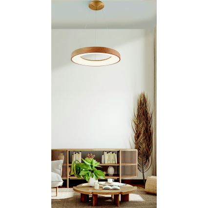 Azzardo AZ5010 - LED Dimmable chandelier on a string SANTANA LED/50W/230V brown + remote control