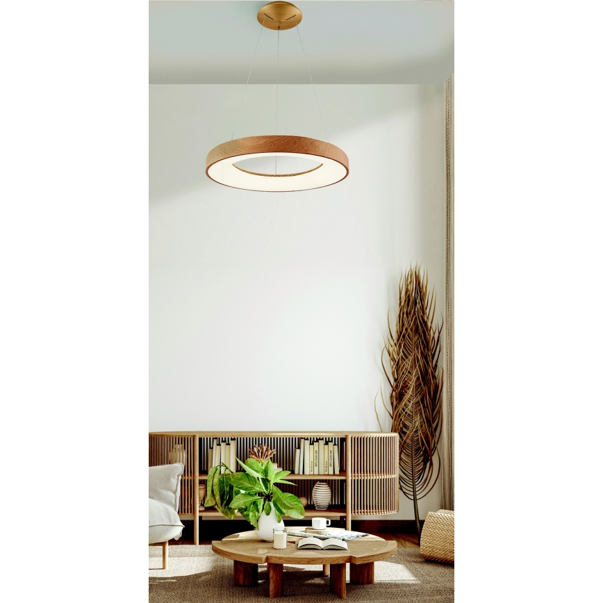Azzardo AZ5010 - LED Dimmable chandelier on a string SANTANA LED/50W/230V brown + remote control