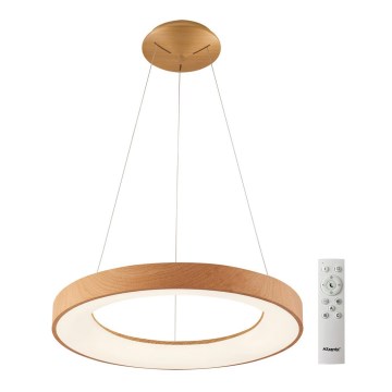 Azzardo AZ5010 - LED Dimmable chandelier on a string SANTANA LED/50W/230V brown + remote control