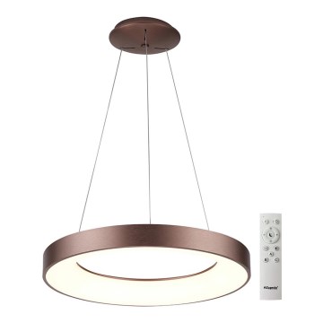Azzardo AZ5011 - LED Dimmable chandelier on a string SANTANA LED/80W/230V brown + remote control
