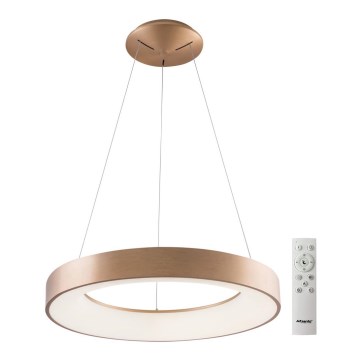 Azzardo AZ5013 - LED Dimmable chandelier on a string SANTANA LED/80W/230V gold + remote control