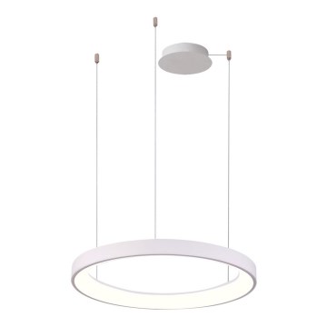 Azzardo AZ5015 - LED Dimmable chandelier on a string AGNES LED/38W/230V d. 48 cm white