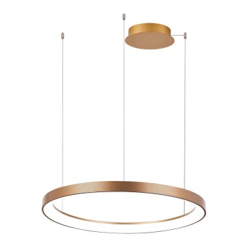 Azzardo AZ5017 - LED Dimmable chandelier on a string AGNES LED/38W/230V d. 48 cm gold
