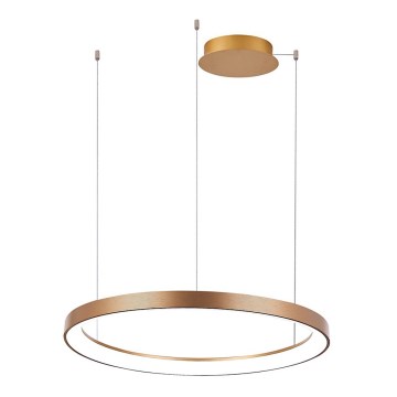 Azzardo AZ5020 - LED Dimmable chandelier on a string AGNES LED/48W/230V d. 58 cm gold