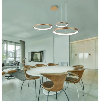 Azzardo AZ5023 - LED Dimmable chandelier on a string AGNES LED/60W/230V d. 78 cm gold