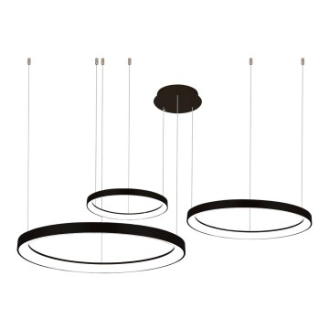Azzardo AZ5024  - LED Dimmable chandelier on a string AGNES LED/120W/230V black