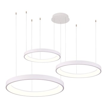 Azzardo AZ5025 - LED Dimmable chandelier on a string AGNES LED/120W/230V white