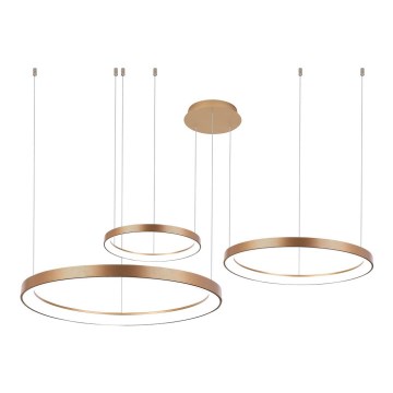 Azzardo AZ5026 - LED Dimmable chandelier on a string AGNES LED/120W/230V gold