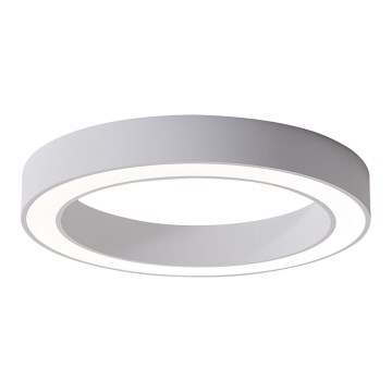Azzardo AZ5028 - LED Ceiling light MARCO LED/30W/230V white