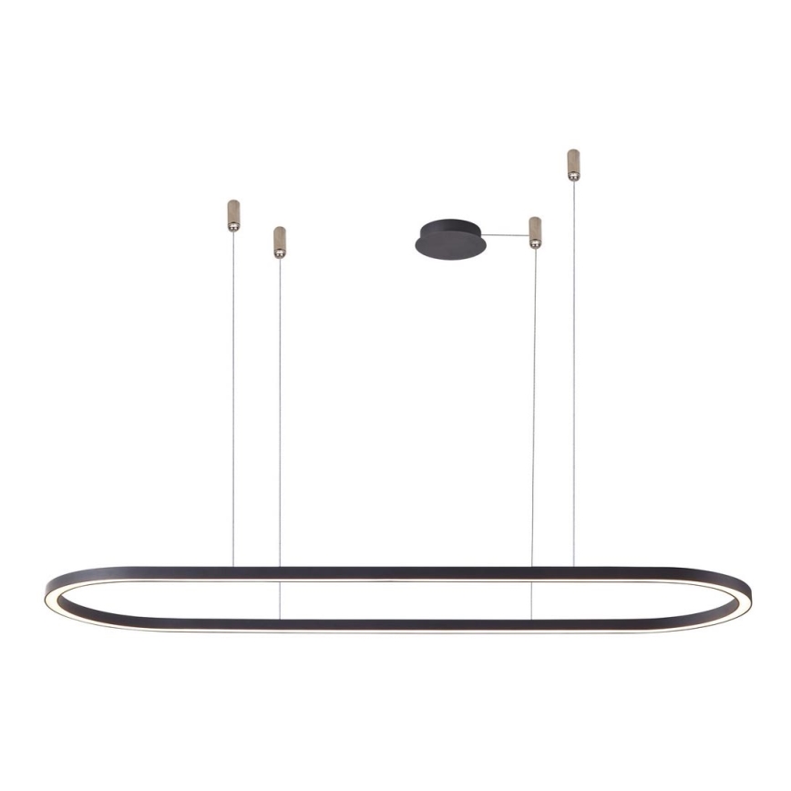 Azzardo AZ5055 - LED Dimmable chandelier on a string ELENA LED/50W/230V 120 cm black