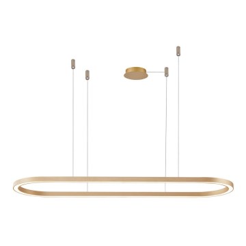 Azzardo AZ5056 - LED Dimmable chandelier on a string ELENA LED/50W/230V 120 cm gold