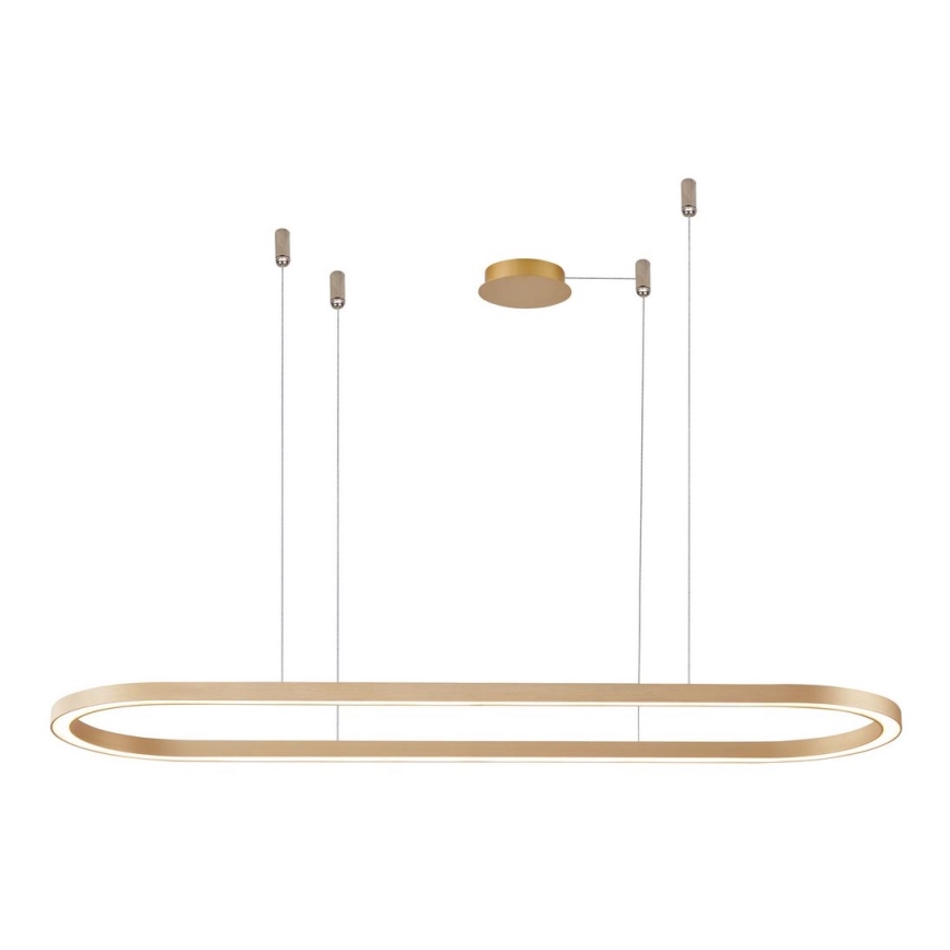 Azzardo AZ5056 - LED Dimmable chandelier on a string ELENA LED/50W/230V 120 cm gold