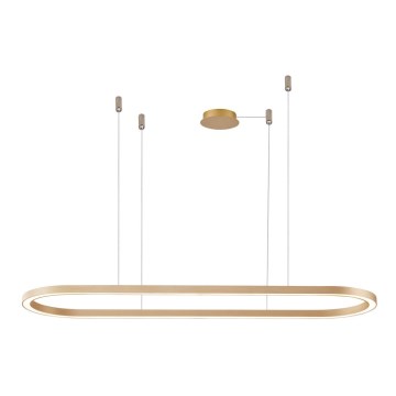 Azzardo AZ5058 - LED Dimmable chandelier on a string ELENA LED/60W/230V 150 cm gold