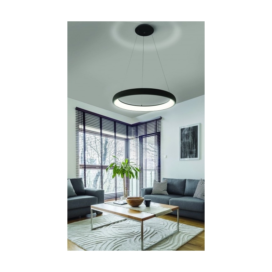 Azzardo AZ5063 - LED Dimmable chandelier on a string ANTONIO LED/50W/230V black + remote control