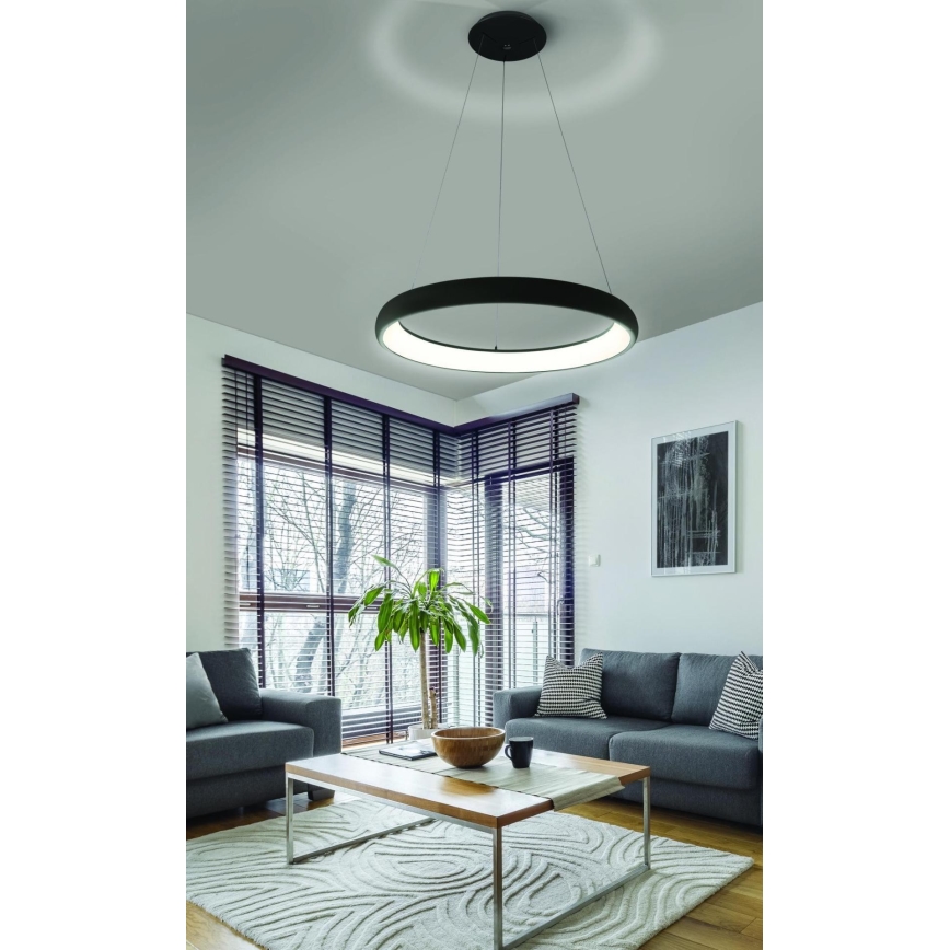 Azzardo AZ5066 - LED Dimmable chandelier on a string ANTONIO LED/80W/230V black + remote control