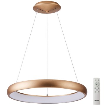 Azzardo AZ5067 - LED Dimmable chandelier on a string ANTONIO LED/80W/230V gold + remote control