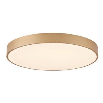 Azzardo AZ5086 - LED Dimmable ceiling light MARCELLO LED/80W/230V gold