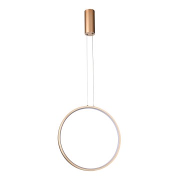 Azzardo AZ5254 - LED Dimmable chandelier on a string MASSIMA LED/25W/230V gold
