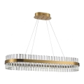 Azzardo AZ5263 - LED Chandelier on a string FRANCESCA LED/64W/230V 100 cm