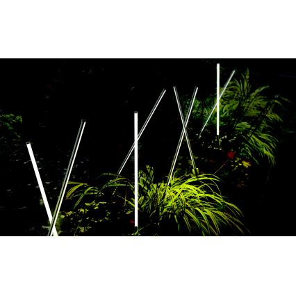 Azzardo AZ5337 - LED Outdoor lamp FREDO LED/6W/230V IP54 58 cm