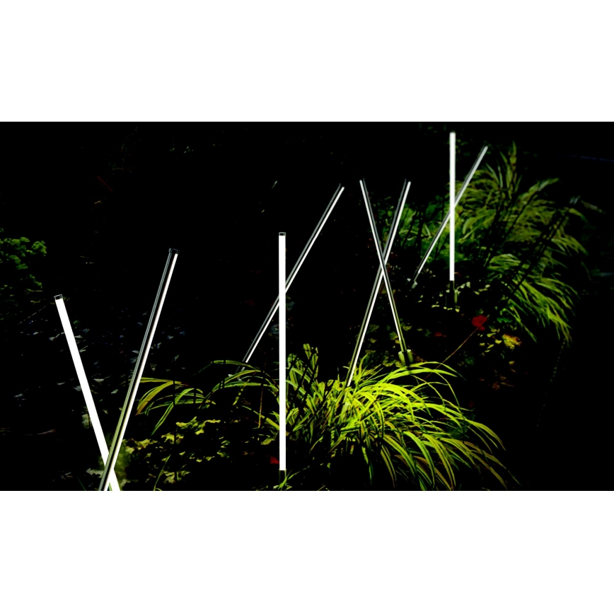 Azzardo AZ5337 - LED Outdoor lamp FREDO LED/6W/230V IP54 58 cm