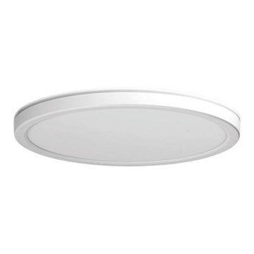 Azzardo AZ5367 -LED Dimmable ceiling light PANKA LED/24W/230V IP40 white