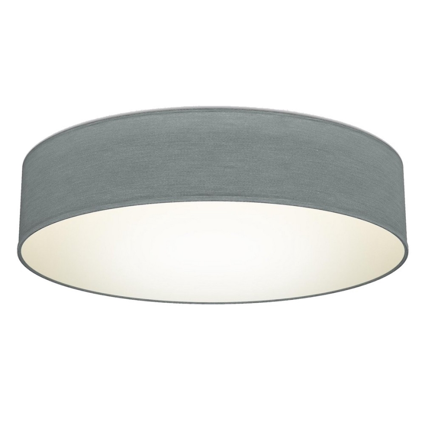 B.K. Licht 1393 - LED Ceiling light LED/20W/230V grey