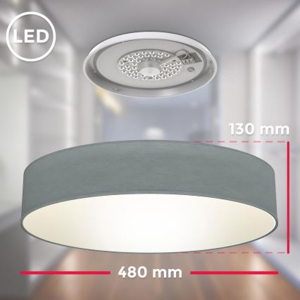 B.K. Licht 1393 - LED Ceiling light LED/20W/230V grey