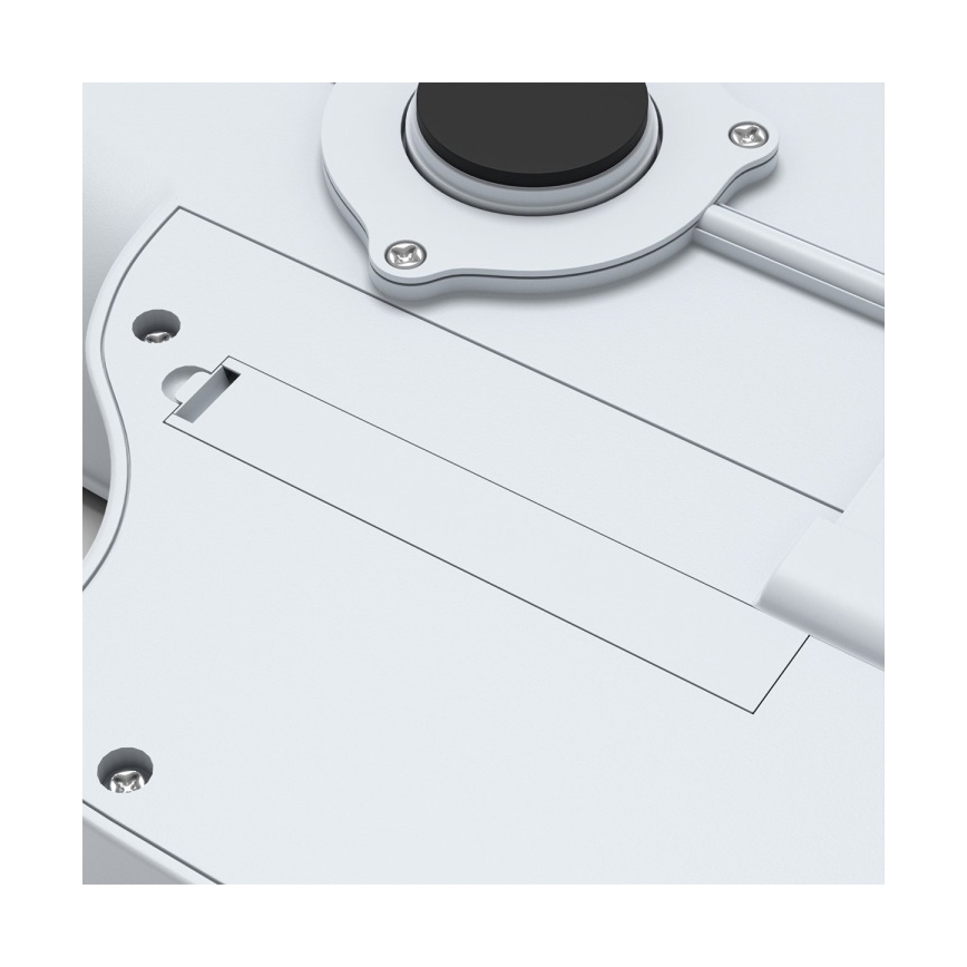 BabyOno - Electronic baby scale for children up to 30 kg, 3x AAA