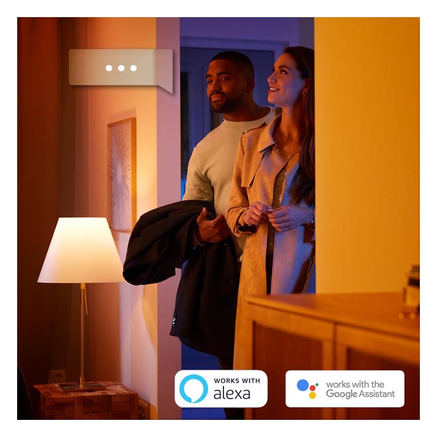 Basic set Philips Hue STARTER KIT 2xE27/9W + interconnect device