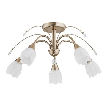 BASTER Ceiling Light 5x E14/10W/230V, Gold