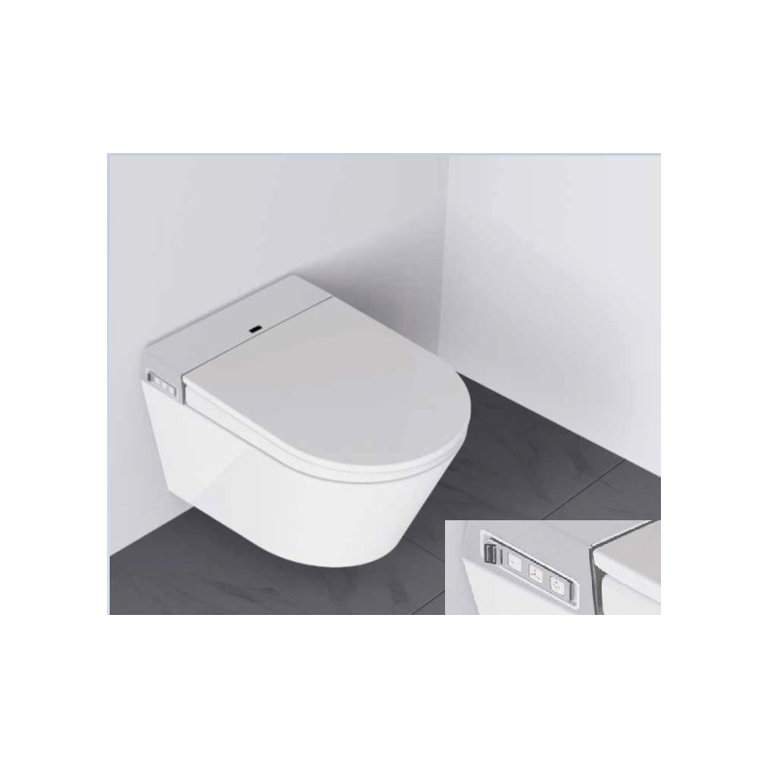 BATH DELUXE 21-040-02-11-00 - Wall-hung toilet with bidet and toilet seat SoftClose TISVILDELEJE 1600W/230V white + remote control
