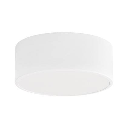 Bathroom ceiling light CLEO 1xE27/24W/230V d. 20 cm white IP54