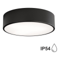 Bathroom ceiling light CLEO 2xE27/24W/230V d. 30 cm black IP54