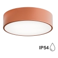 Bathroom ceiling light CLEO 2xE27/24W/230V d. 30 cm copper IP54