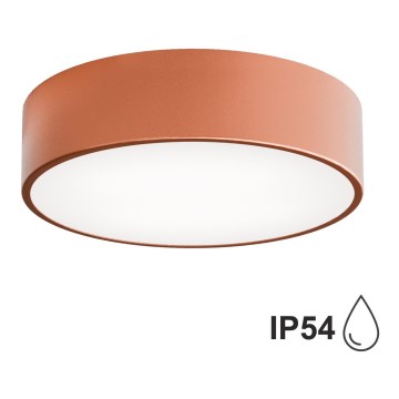 Bathroom ceiling light CLEO 2xE27/24W/230V d. 30 cm copper IP54