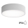 Bathroom ceiling light CLEO 2xE27/24W/230V d. 30 cm grey IP54