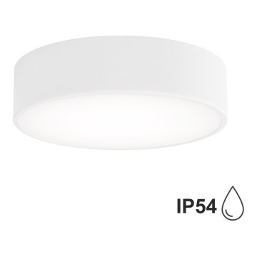 Bathroom ceiling light CLEO 2xE27/24W/230V d. 30 cm white IP54