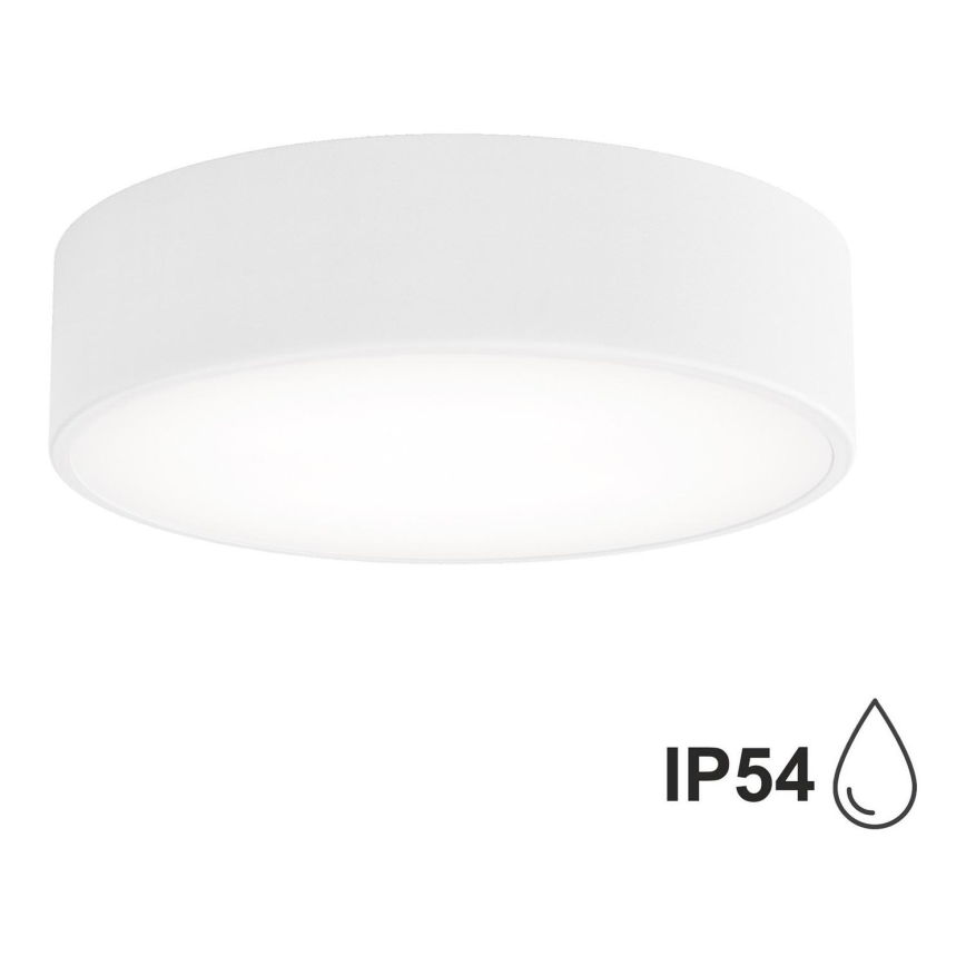 Bathroom ceiling light CLEO 2xE27/24W/230V d. 30 cm white IP54